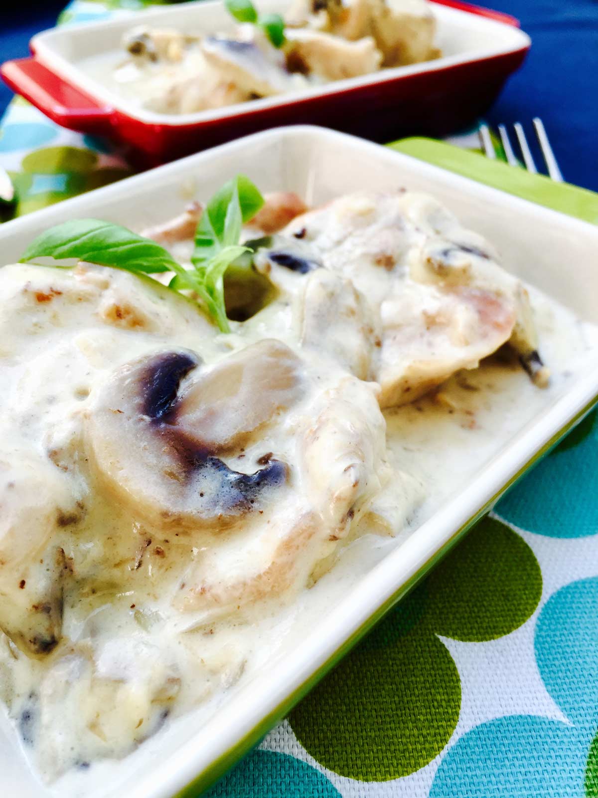 Creamy chicken mushroom close up.