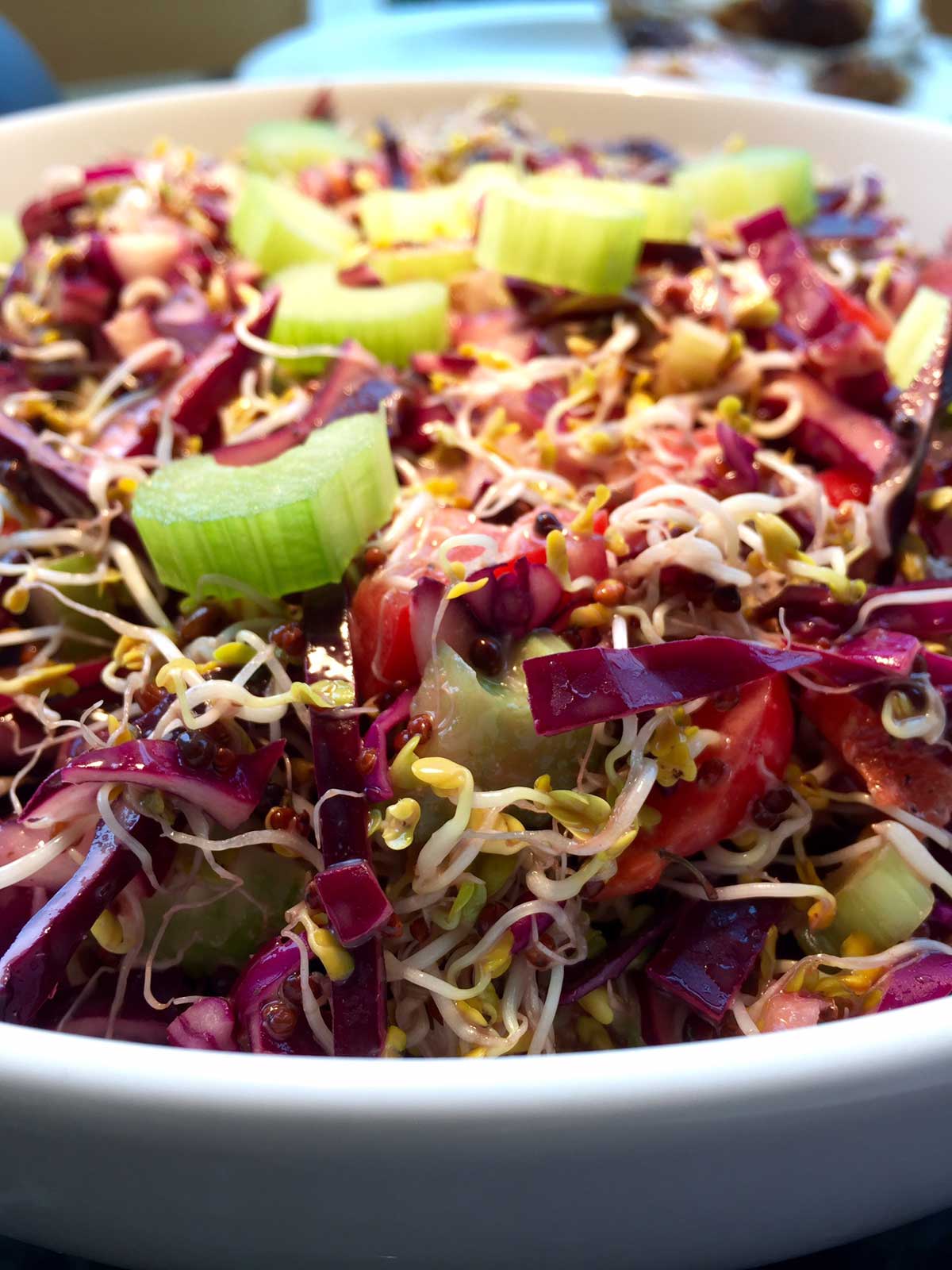 Broccoli sprouts and red cabbage
