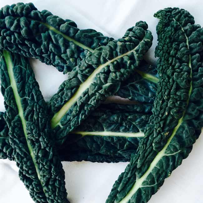 A few Cavolo nero (Lacinato kale) leaves A few Cavolo nero (Lacinato kale) leaves