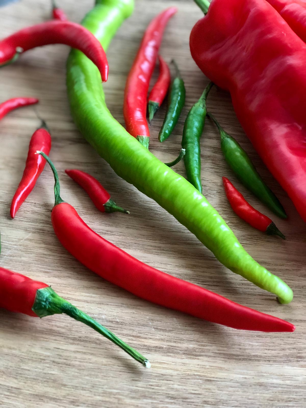 green and red chilli