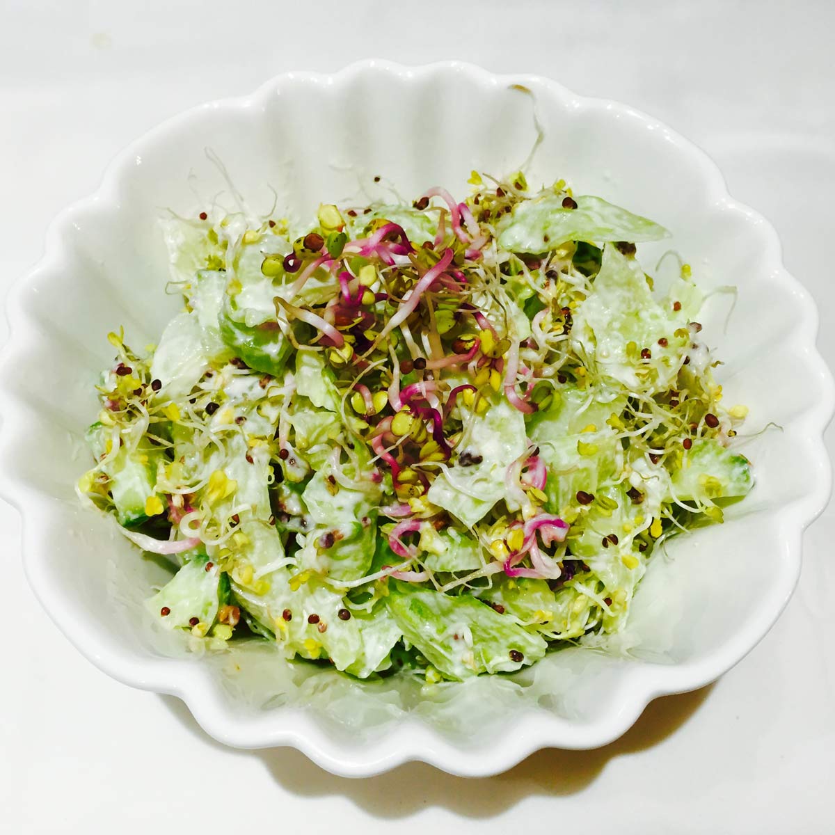 Cucumber broccoli radish sprouts salad