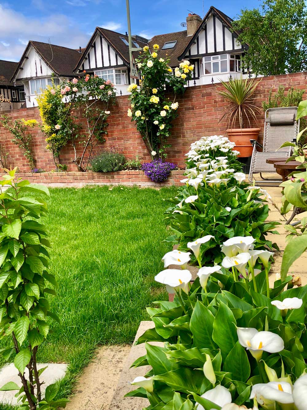 Home garden flowers