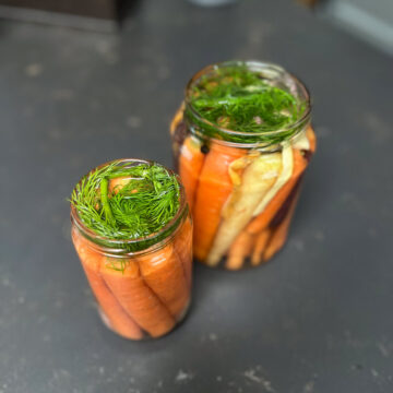 Pickled carrots with with fresh dill on top.