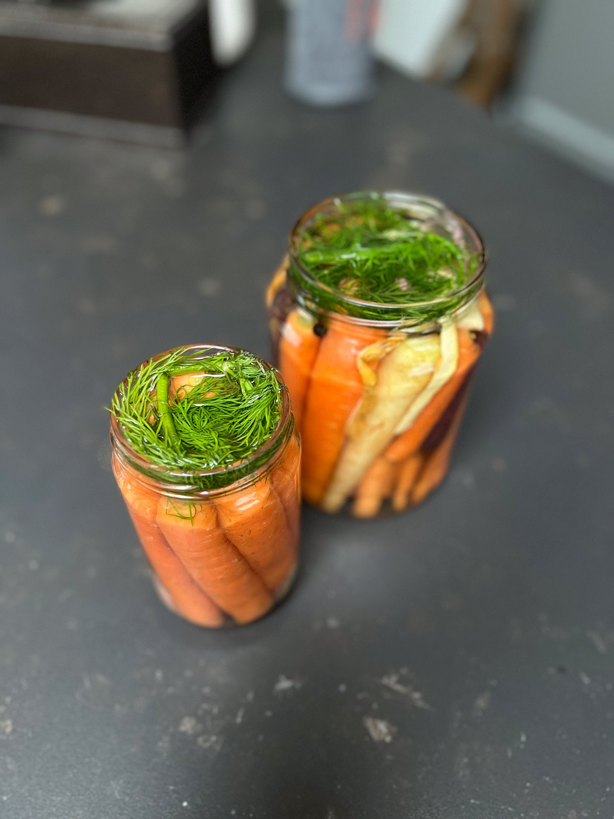 Two jars with pickled carrots, top with fresh dill.