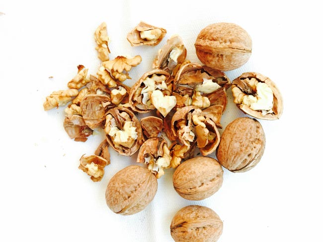 Several walnuts