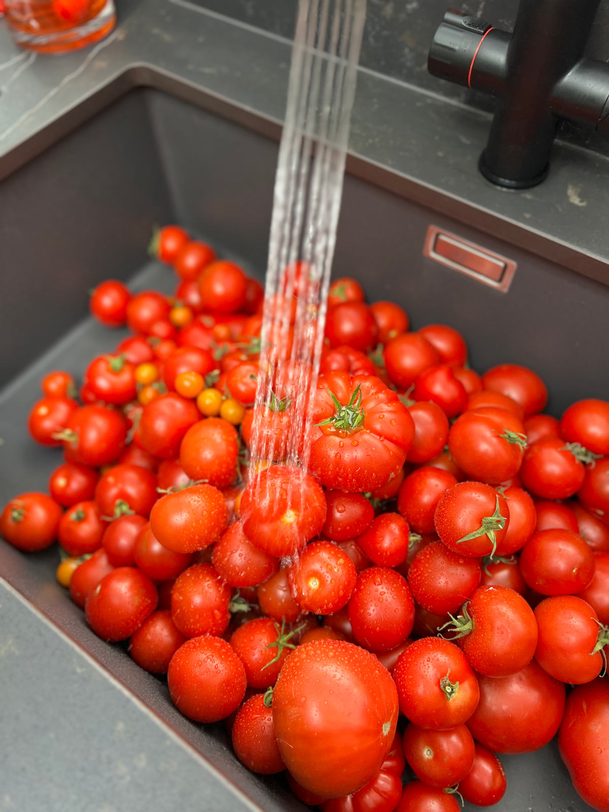 Lots of tomatoes in a sink getting washed.